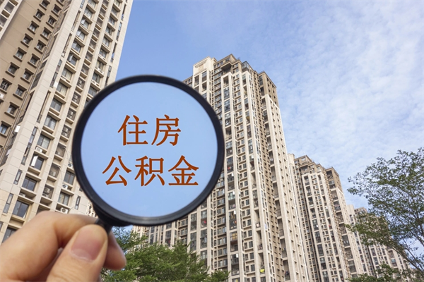 衡阳黄牛代提公积金说十五天到账（衡阳公积金代提多久到账）